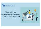 Want a Strapi Development Company for Your Next Project?