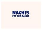 Top Pet Groomer in Tampa | Gentle & Skilled Care by Nachis