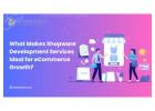 What Makes Shopware Development Services Ideal for eCommerce Growth?