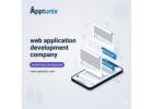 Expert Web Application Development Services USA