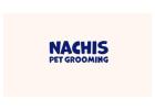 Dog Grooming Services in Tampa | Nachis Pet Grooming Experts