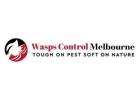 wasp nest removal services Melbourne