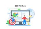 Affordable SEO Services in