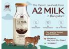 Natural A2 cow milk Delivery in Bangalore