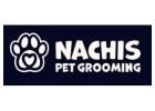 Top Dog Grooming in Tampa | Nachis Pet Grooming Experts