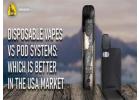 Which Is Best for U.S. Vapers? Disposable Vape Vs Pod System