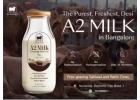 Nutritious organic A2 Cow Milk in Bangalore