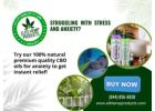 Find Quick Relief with Elite Hemp CBD Oil for Anxiety