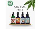 CBD for Pets - Your Natural Relief & Everyday Wellness Support