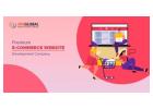 ecommerce website development in Bangalore