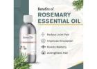 Rosemary Essential Oil – Boost Focus, Hair Growth & Natural Wellness | Raasa Oils