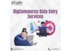 Reliable BigCommerce Data Entry Services for Sellers