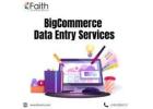 BigCommerce Product Entry Services for Busy Sellers
