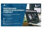Professional Website Development Company