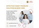 Effective Family Problem Solution in New York By Pandit Krishna Sai