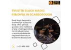 Trusted Black magic Removal in Scarborough By Psychic Balaji