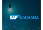 Custom SAP S/4HANA Solutions for Business Growth