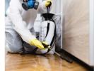 Commercial Pest Control