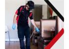 Pest Control Perth
