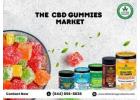 Premium CBD Gummies – Tasty, THC-Free Wellness You’ll Love!