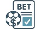 Predictive System Frameworks Used by Professional Bettors