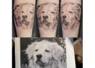 Dog Tattoo Artist Near Me | Midnight Moon Tattoo