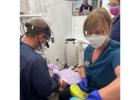 Gentle and Professional Dental Care in