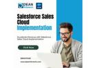 Salesforce Sales Cloud Implementation and Consulting Services
