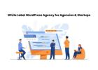 White Label WordPress Agency for Agencies & Startups