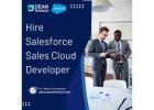 Hire Salesforce Sales Cloud Developer for Revenue Growth