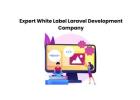 Expert White Label Laravel Development Company