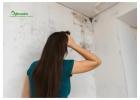 Effective Tips to Remove Ceiling Mould Safely at Home Today