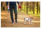 Dog Walking Services in