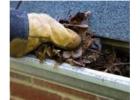 Need Gutter Repair Danville? Local Pros Ready to Help