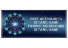 Best Astrologer in Tiruvannamalai