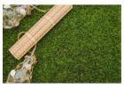Quality Natural Grass Supply and Distribution in Delhi