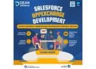 Hire Salesforce AppExchange Developer
