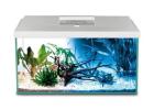 Oasis Aquariums: Top-Rated Aquarium Store in Sydney
