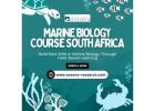 Marine Biology Course South Africa