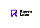Best Social Media Marketing Agency - Raven Labs