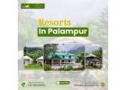 Resorts in Palampur for Peaceful Mountain Stay