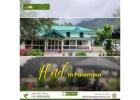 Hotel in Palampur for Comfortable Hill Stay