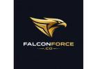 Digital Marketing Services In Ludhiana - Falcon Force