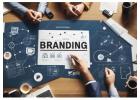 Build Powerful Brand Identity | Sash Media Branding Experts