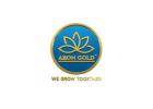 Are You Looking for Smart Digital Gold Investment Option