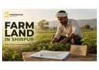 Farm Land in Shirpur — Explore Verified Agricultural Farm Plots | Propertzz
