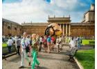 The Ultimate Vatican Tours Itinerary for History Buffs