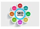 SMM Expert Jaipur