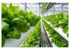 All-in-One Grower Management Software for Greenhouse Operations & Plant Nursery