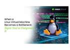 Linux Virtual Machine Performance Solutions | Neon Cloud